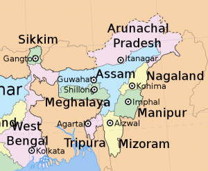 policy circle image