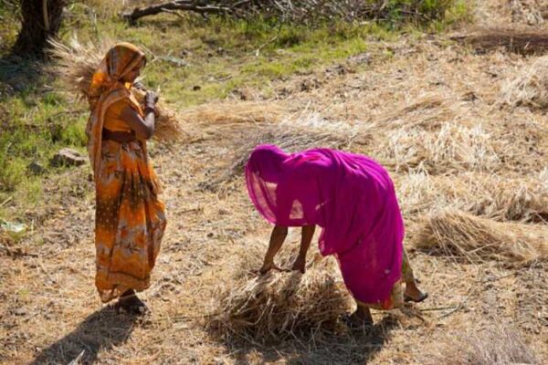 agriculture reforms