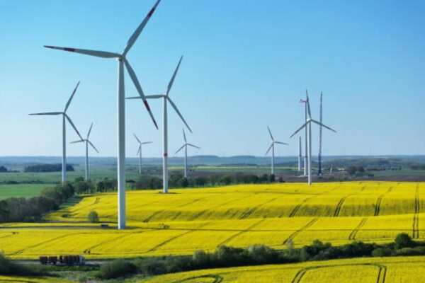 sovereign green bonds, clean energy