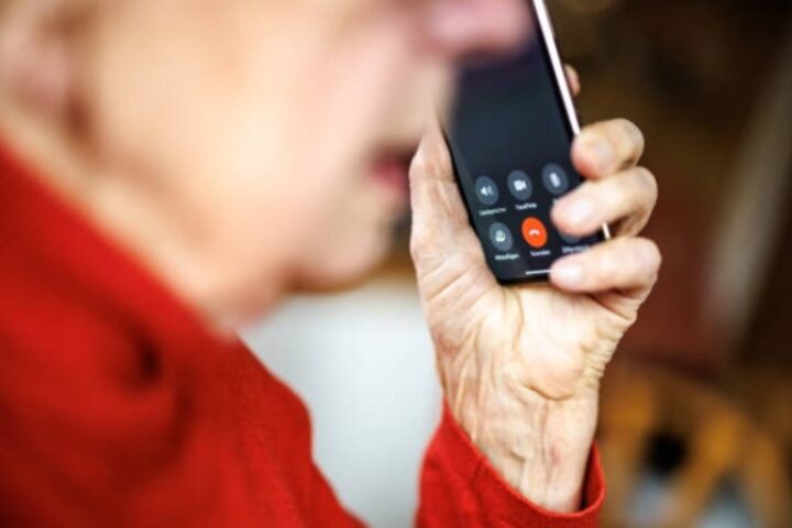 digital fraud, digital fraud in India 2024,