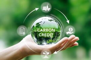 carbon credit
