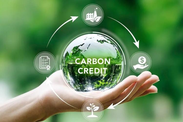 carbon credit