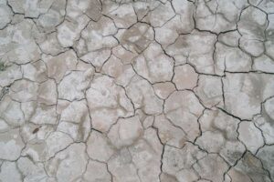 climate crisis