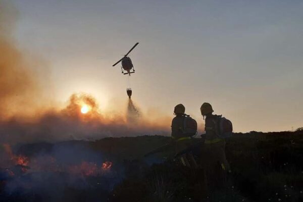 searching for Israel wildfires' causes