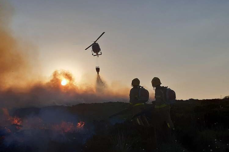 searching for Israel wildfires' causes