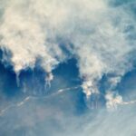 Reasons behind tropical forest loss