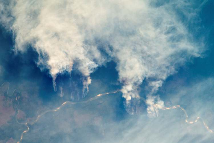 Reasons behind tropical forest loss