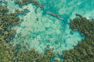 India's blue economy