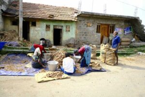 household income survey 2026