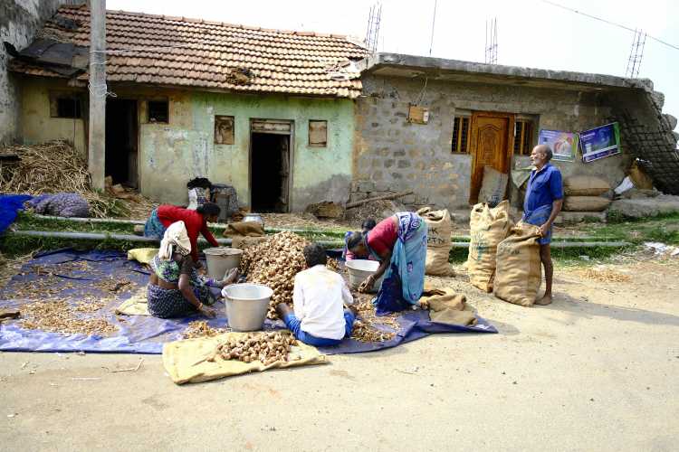 household income survey 2026