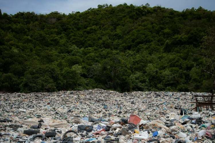 Geneva conference for plastics treaty