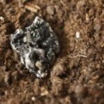 rare earth elements