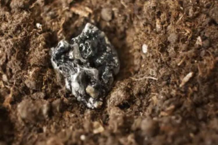 rare earth elements