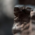 climate change, coal