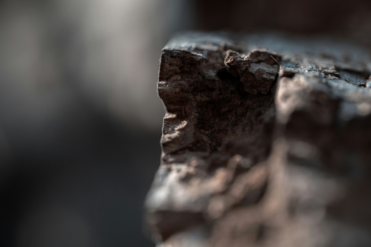 climate change, coal