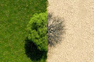 climate change
