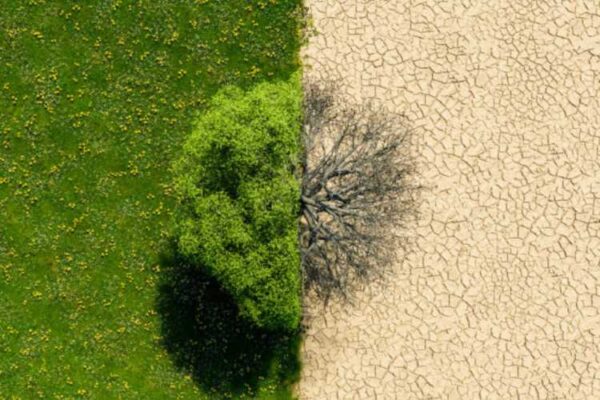 climate change