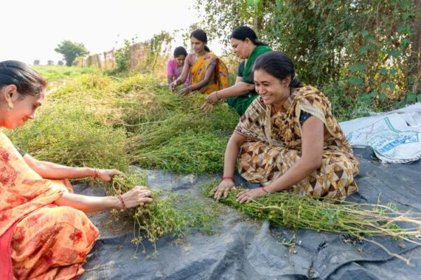 climate change and farm income in India