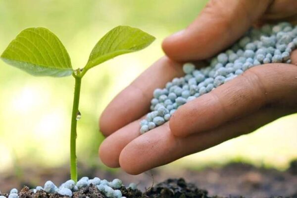 fake fertiliser threat