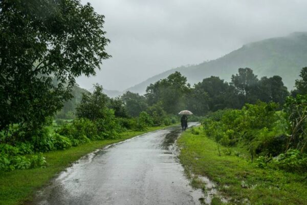 Monsoon 2025