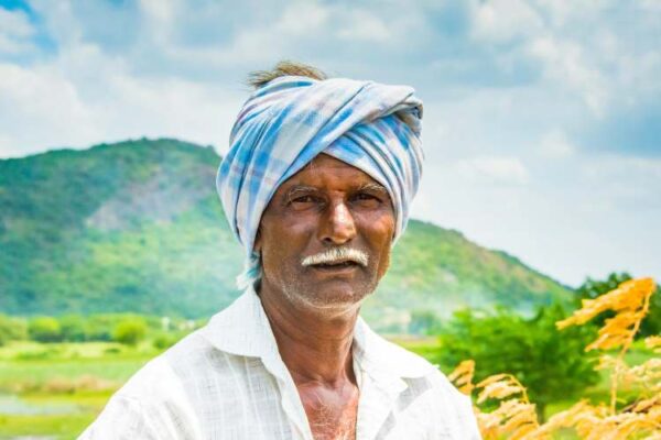 heatwave deaths india