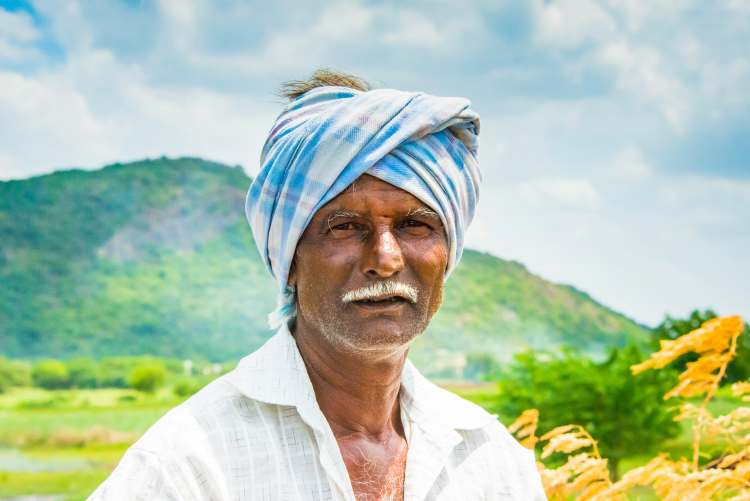 heatwave deaths india