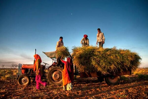 agriculture