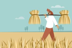 agriculture sector