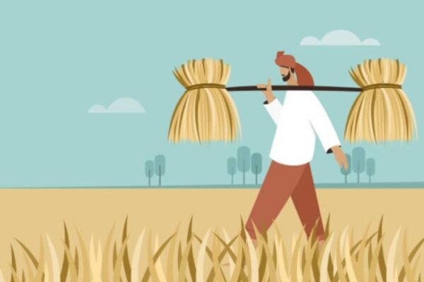 agriculture sector