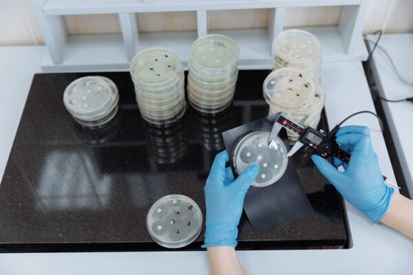 antibiotic resistance to global health