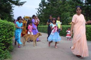 stray dogs vs human interest