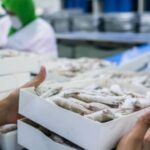 seafood exports