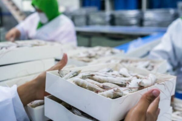 seafood exports