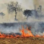 Stubble burning and air pollution