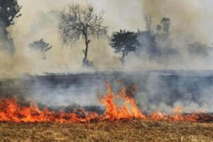 Stubble burning and air pollution