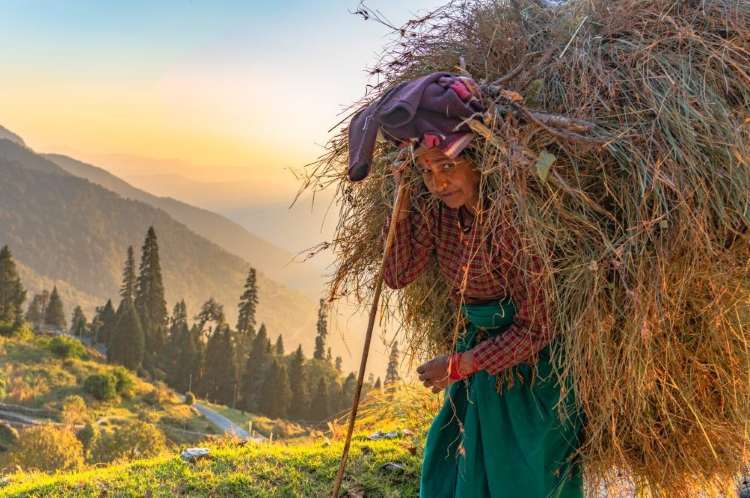 Disappearing women's jobs in Uttarakhand