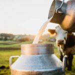 Dairy industry