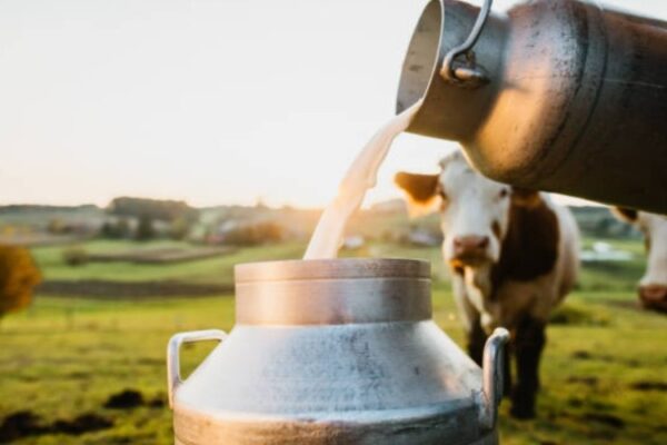 Dairy industry
