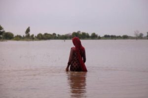 national parametric insurance scheme