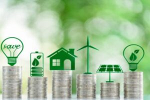 green subsidy