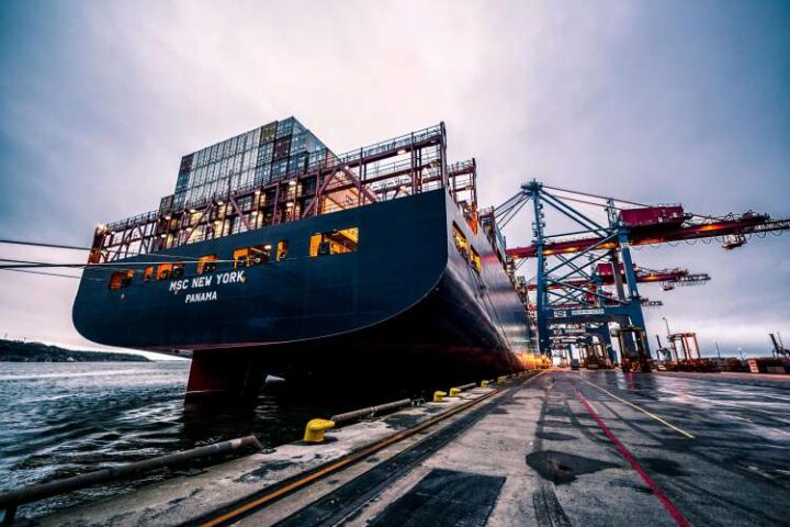 India’s import substitution plan