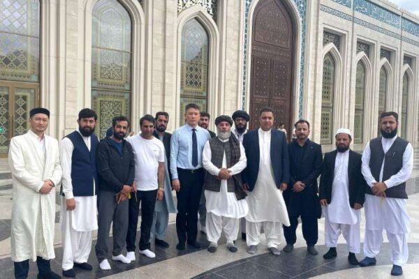 India-Afghanistan ties