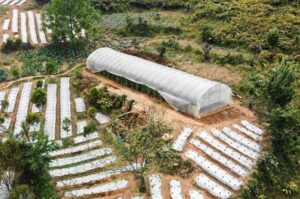 India's climate-resilient farms