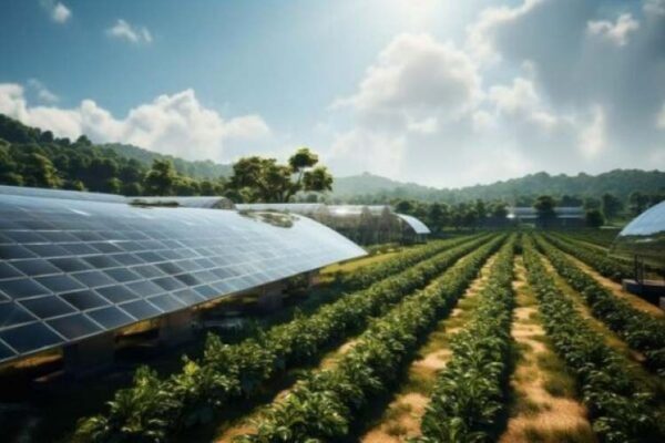 India's climate-resilient farms