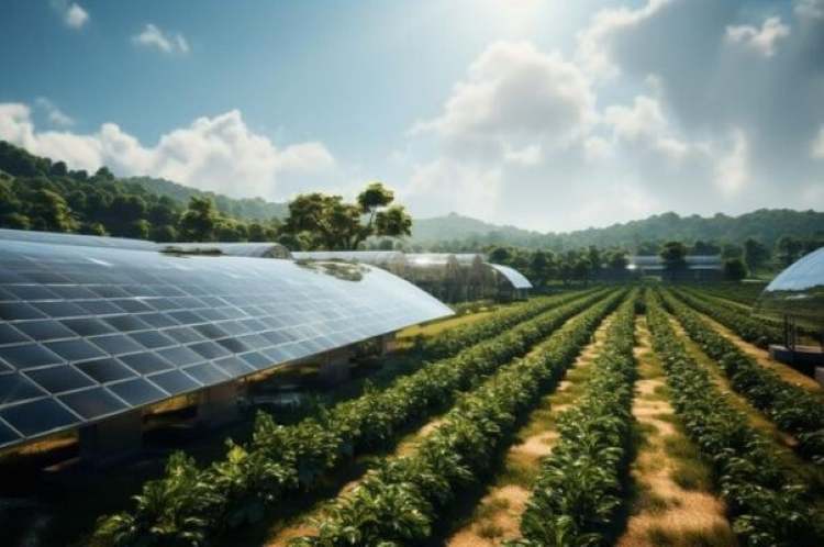 India's climate-resilient farms