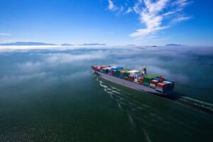 India November exports