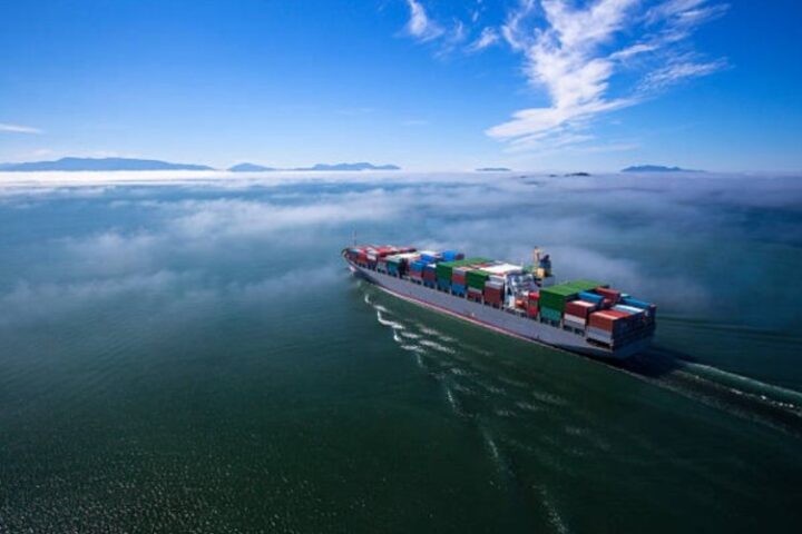 India November exports