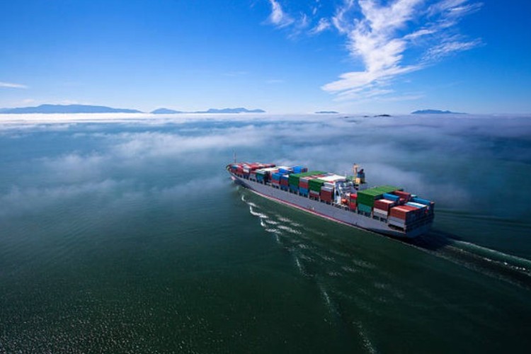 India November exports