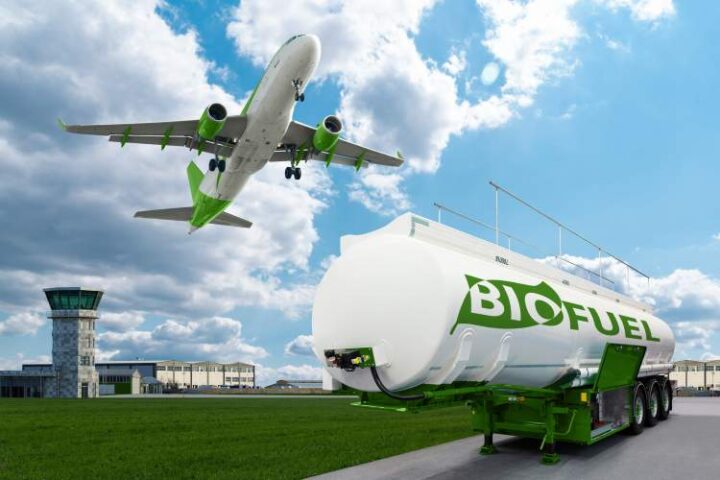 India's biofuel policy