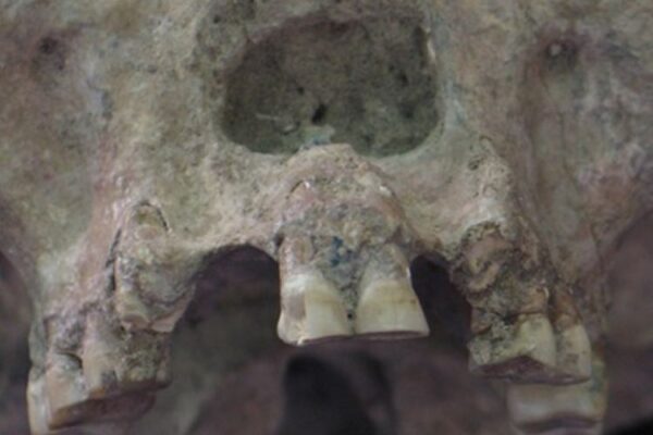 human migration and world population